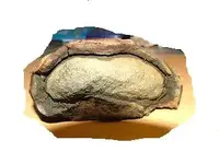 stone4.webp