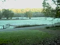 FirstFrost.webp