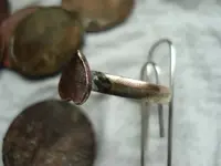 Small ring.webp