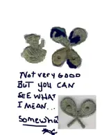CLOVER.webp