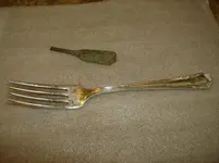 Fork Full Shot.webp