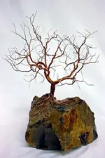 wiretree.webp
