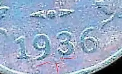 penny_edited and enhanced.webp