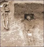 Skeletons.webp