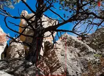 heart on rock (Large) (Medium).webp
