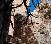 heart on rock 2 (Large) (Medium).webp