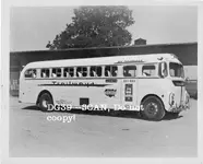 bus.webp