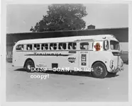 bus.webp