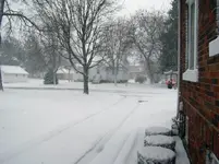 snow.webp