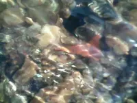 !cid__1023091205b.webp
