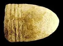 Volcanic Bullet.webp