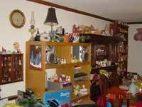 DSC04178a.webp