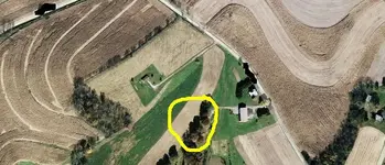 largearial.webp