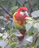 DSCN1969.webp