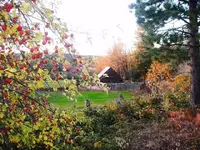 fallinca.webp