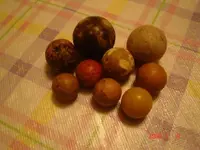 treasure 2009 065.webp