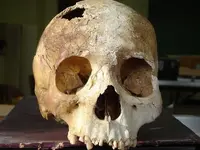 skull front.webp