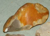 THE DEL FUEGOS 2 006.jpg 2.webp