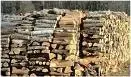 firewood.webp
