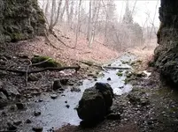 hamilton2.webp