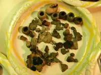 000_0004.webp
