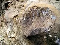 ATG6.webp