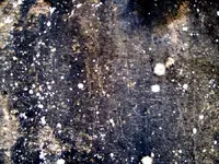 ATG10.webp