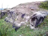ATG12.webp