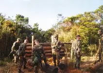 usmc 5.webp