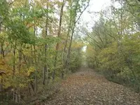 track road e.webp