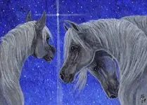 Aceo e-mail O Holy Night acr.webp