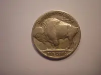 Buffalo Back.webp