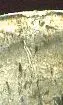 pry mark.webp