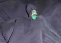 Chrysoprase1987jpg..webp