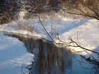 DSC05072.webp