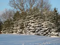 DSC05073.webp