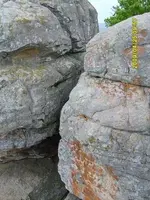 rock face.webp
