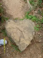 Heart2.webp