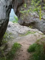 hoyo.webp
