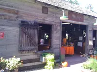 005.webp