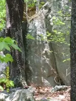 image in rock.webp