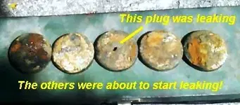 badplugs.webp