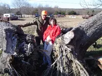 Wood Cutting 002.webp