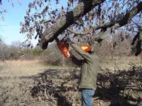 Wood Cutting 004.webp
