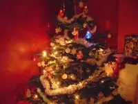 tree 001.webp