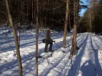 DEC 12TH CELLAR HOLE SNIFFY 001 [].webp