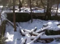 DEC 12TH CELLAR HOLE SNIFFY 007 [].webp