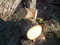 Wood Cutting 011.webp