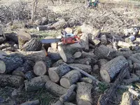Wood Cutting 008.webp
