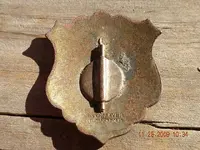 Back of webster badge.webp